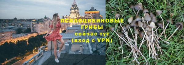 COCAINE Няндома