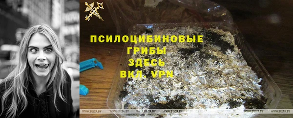 spice Алзамай